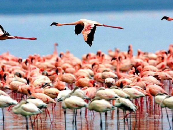 Tanzania cultural safari vacation