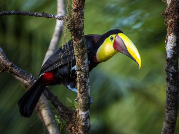 Costa Rica private photography tour