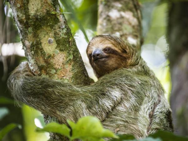 Costa Rica private photography tour