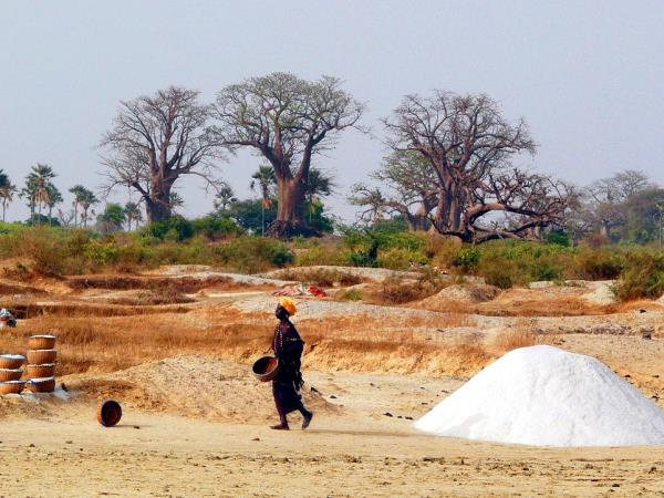 Senegal discovery tour