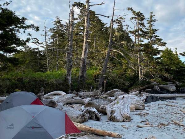 Great Bear Rainforest kayaking holiday