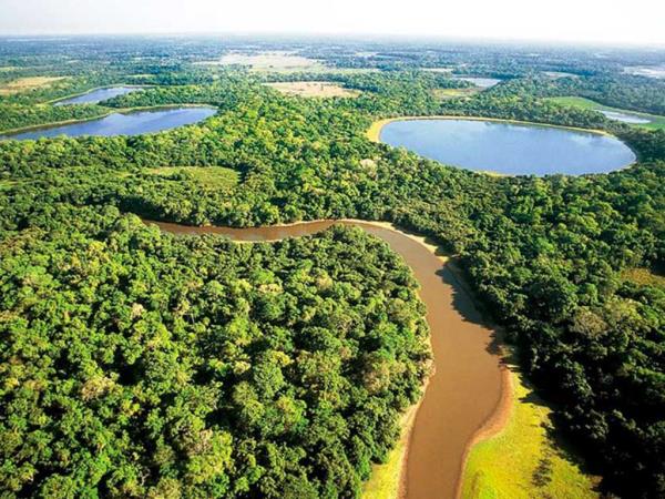 Pantanal and Iguazu tour, Brazil