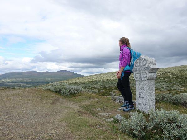 Hiking vacation in Norway, Dovrefjell National Park
