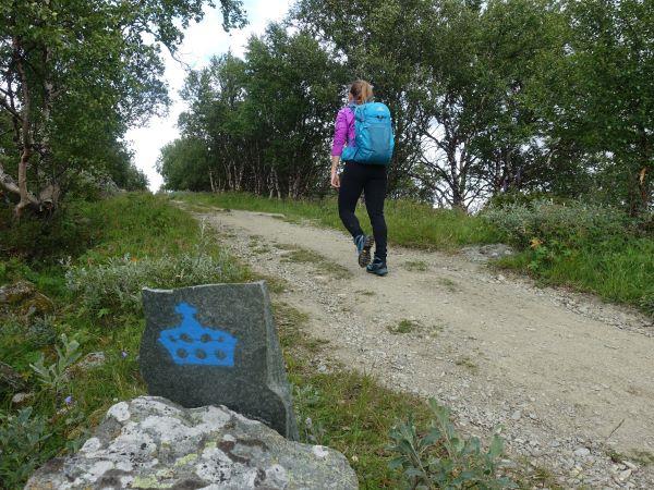 Hiking vacation in Norway, Dovrefjell National Park