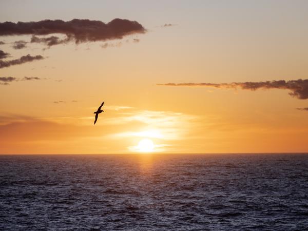 Classic Antarctic Peninsula small ship cruise