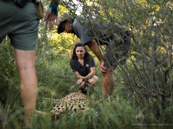 Endangered wildlife conservation in South Africa