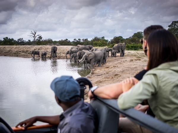 Wildlife conservation safari in South Africa