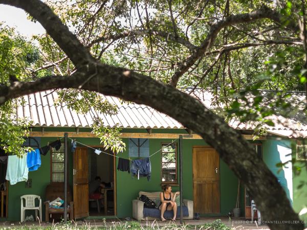 Wildlife conservation course in South Africa