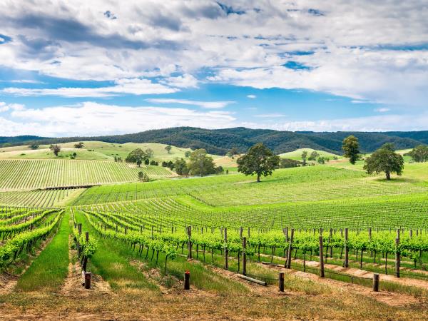 Australia vacations, tailor made