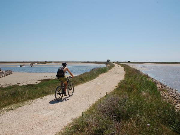 Provence to Camargue cycling vacation in France
