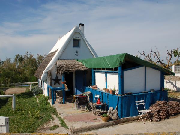 Provence to Camargue cycling vacation in France