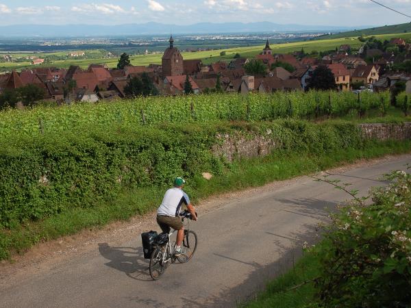 Family cycling vacation in Alsace, France