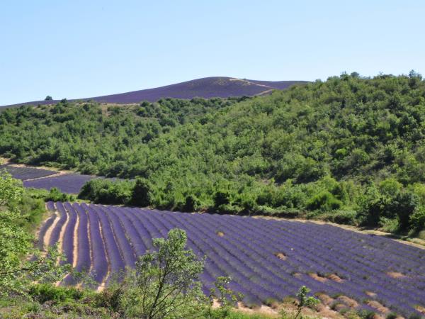 Upper Provence walking vacation in France