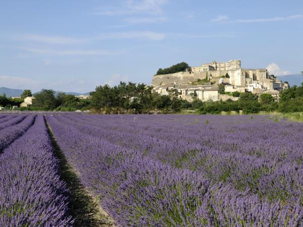 Provence to Camargue cycling vacation in France