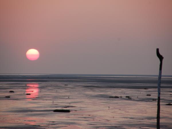 Bay of the Somme family cycling vacation, France