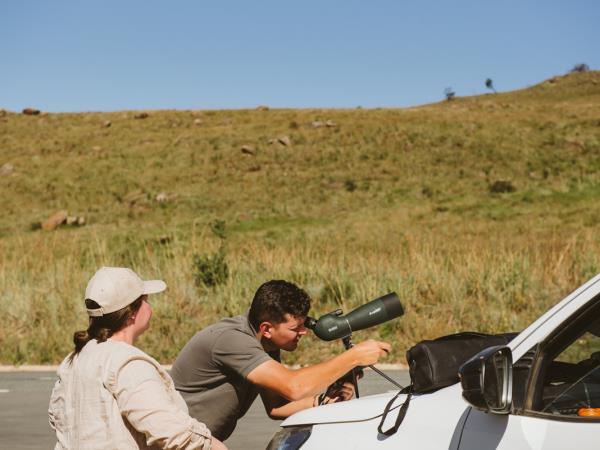 Bearded vulture conservation vacation, South Africa