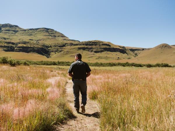 Bearded vulture conservation vacation, South Africa