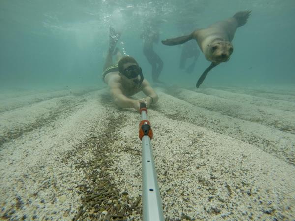 Flexible Galapagos Islands tour