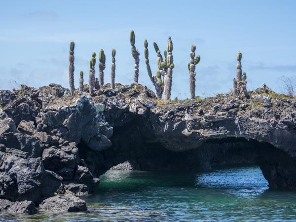 Flexible Galapagos Islands tour