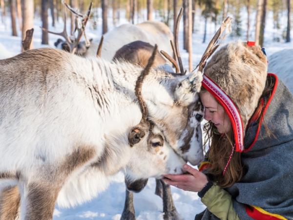 Northern Lights and wildlife vacation in Swedish Lapland