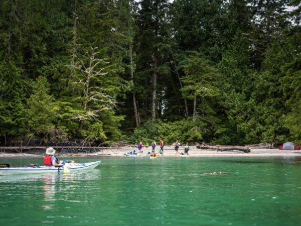 Wild sea kayaking expedition, Vancouver Island