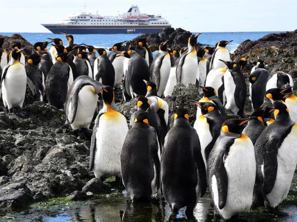 Antarctica and New Zealand Subantarctic Islands cruise