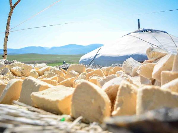 Horse trekking in Mongolia, tailor made