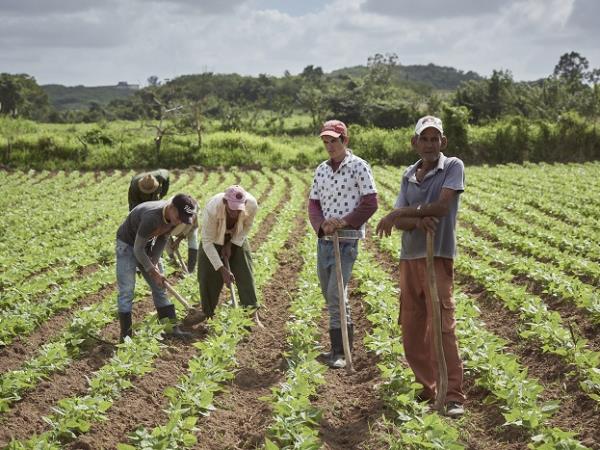 Western Cuba 8 day private tour