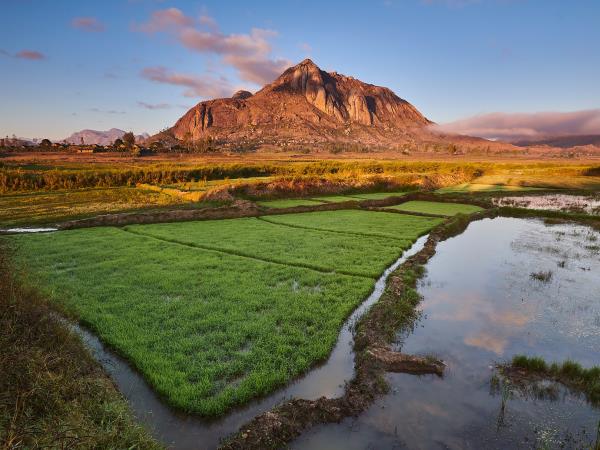 Madagascar Photography vacation