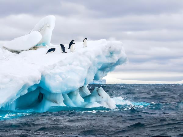 Antarctic Peninsula small ship cruise