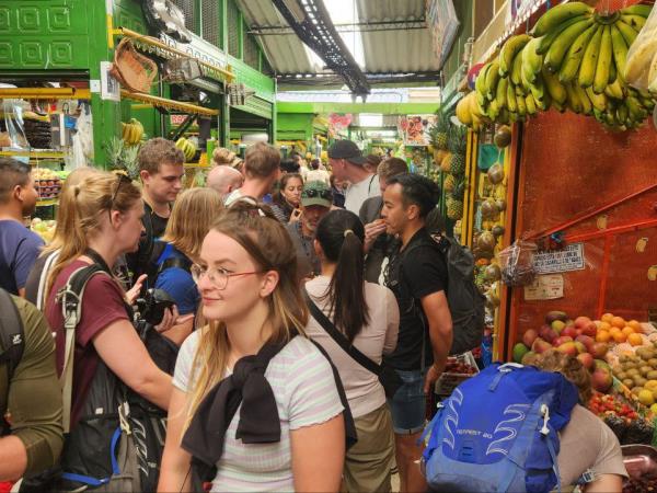 Learn Spanish in Colombia & highlights vacation