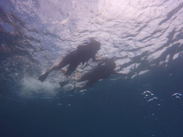 Galapagos island hopping adventure with volunteering