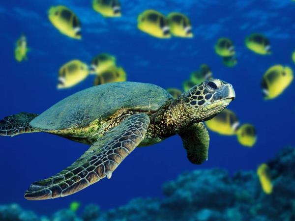 Galapagos budget adventure vacation