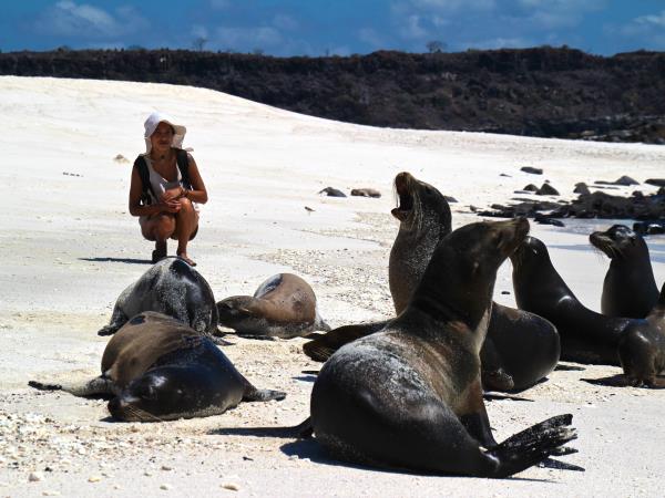 Galapagos budget adventure vacation
