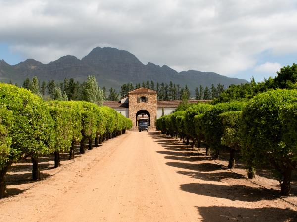 Wine and art vacation, South Africa