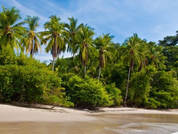 Costa Rica self drive vacation