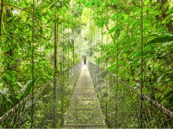 Activity & nature holiday in Costa Rica