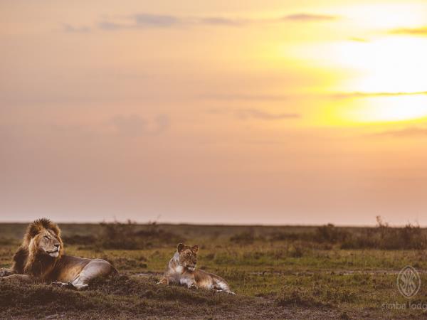 Kenya safari tour, north and south