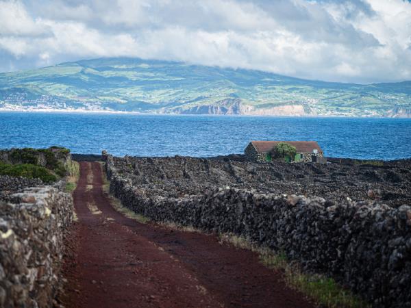 Island hopping in the Azores, self drive vacation