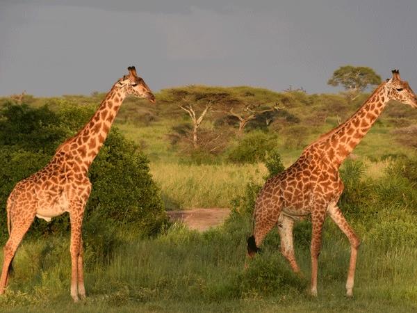 Lesotho, Eswatini and Mozambique vacation