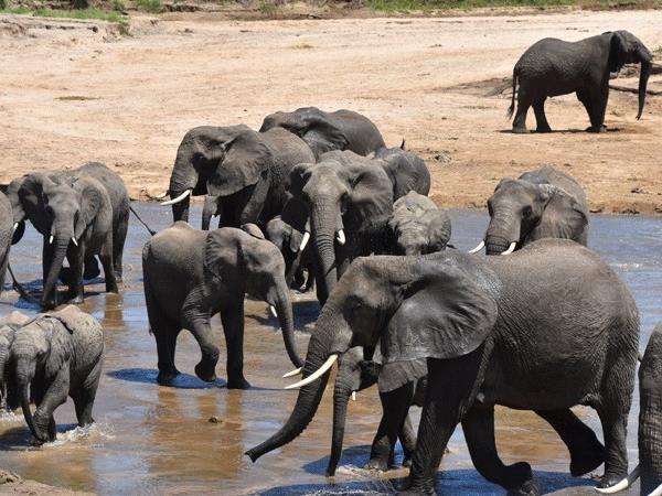 Lesotho, Eswatini and Mozambique vacation