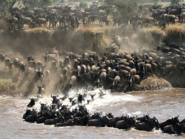 Tanzania fly in safari and beach