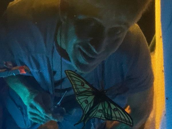 Butterflies and birds of the Spanish Pyrenees vacation