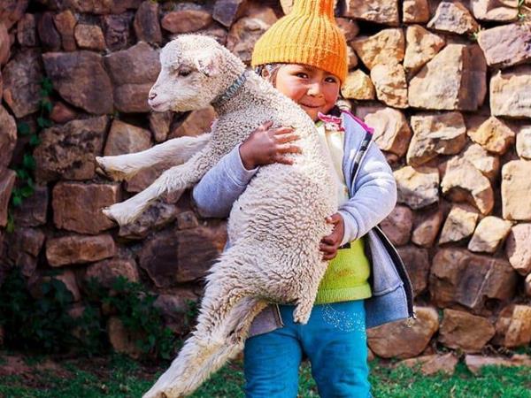 Lares trek with Inca Trail, Machu Picchu