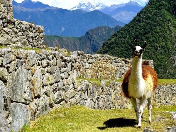 Lares trek with Inca Trail, Machu Picchu