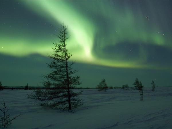 Canada Northern Lights adventure