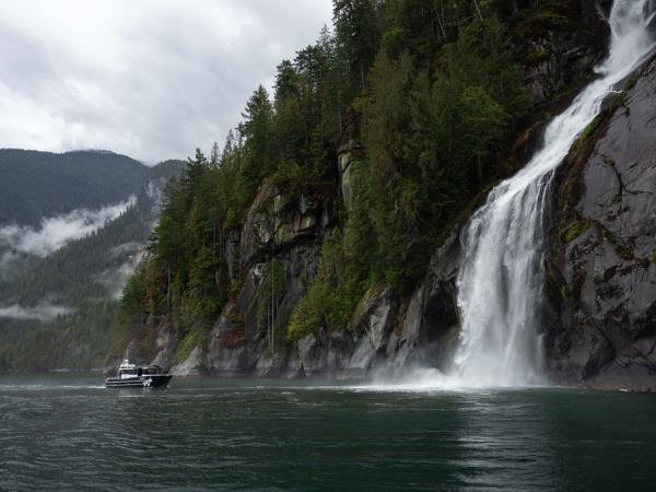 Wilderness wildlife lodge, British Columbia