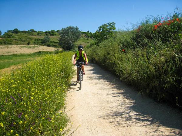 Camino de Santiago cycling vacations from Porto