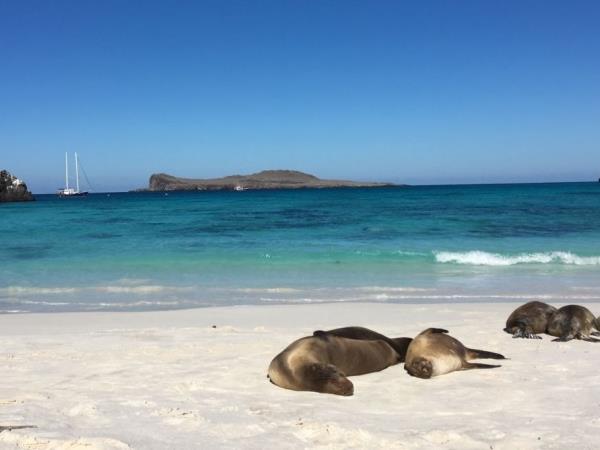 Galapagos luxury cruise holiday