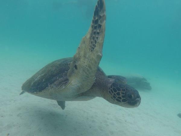 Galapagos Islands multi activity vacation